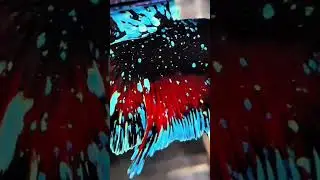 halfmoon nebula vvip #bettafish #komunitascupanghiasindonesia #aquarium #fishcupang #fish