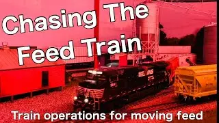 Chasing The Feed Train