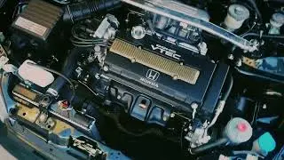 Lausanne Green Pearl EG