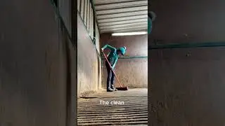 💩Giving a horses stable a deep clean💩 #horses #cleaning