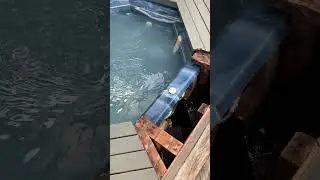 Spa pool air inlet manifold fitting for multiple return jets replaced