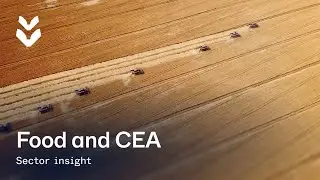 Sector Insight: Food and CEA | TTA-ISO