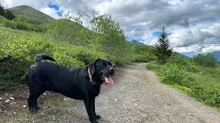 Hmong alaska taug kev.. South Fork valley hike, eagle river alaska. Eagle lake, symphony lake  2023