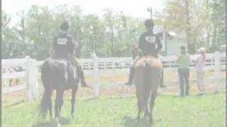 Simply Spectacular's First Show