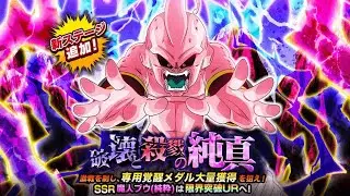 NEW STR KID BUU DOKKAN FEST EVENT | DBZ DOKKAN BATTLE JP