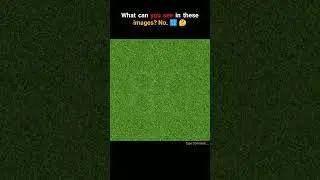 Guess The Number...👀 #quiz #facts #fact #quiztime  #Viral #shorts