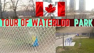 Explore The City Of Waterloo: Tour Of Waterloo Park////Peacocks*Lake*Nature