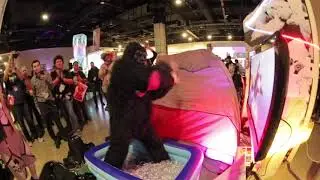 Donkey Kong is Here!