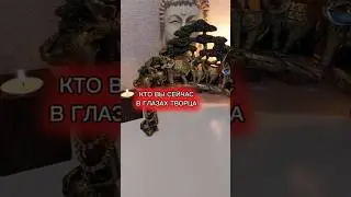 КТО ВЫ СЕЙЧАС В ГЛАЗАХ ТВОРЦА?