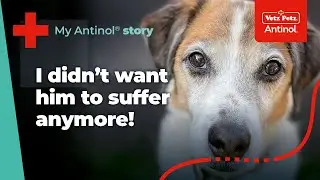 From Pain to Renewed Spirit with Antinol  |  Client Testimonial