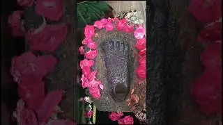 Qadme Rasool | hazrat Mir Abu turab