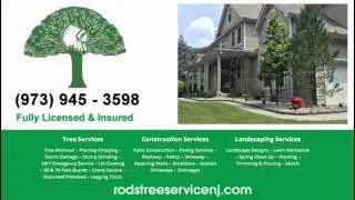 Tree Service Company Lake Hopatcong NJ