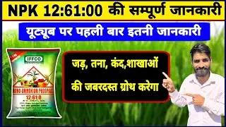 NPK 12:61:00 जड़, तना, शाखाओं, फूल की जबरदस्त ग्रोथ के लिए || NPK 12 61 00 Fertilizer | NPK 12 61 0