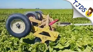 California Farmers Destroying Crops During Crisis
