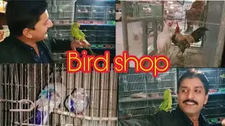Aaj gay bird shop pe 🦜🐓 Muhammad yousaf ho gya khush | imtiaz&M.yousafvlog 