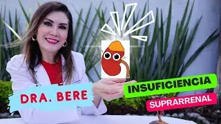 Insuficiencia Suprarrenal. Dra Bere