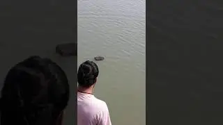 लाखासागर तालाब में दरियावजी महाराज की कृपा  से ईंट तेराते संत। राम धाम रेण / Ram Dham Ren