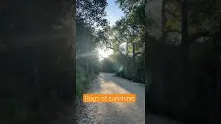 Rays Of Sunshine. Sunny Anaheim HIlls mornings. # Shorts   Courtesy of Mike Patel April 7, 2021