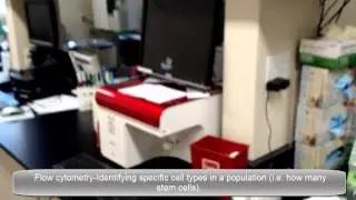Regenexx Research Only Lab