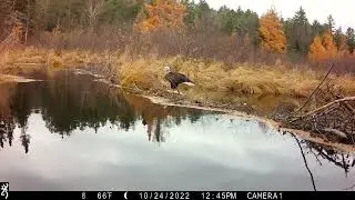 2022 Video Contest - Judy Johnson, Michigan