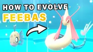 How to Evolve Feebas into Milotic ► Pokemon Scarlet & Violet