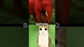 Meowl Vs Strawberry Elephant (My Opinion) Correct me in the Comments!! #shorts #og
