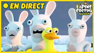 Banquise ou Plage? 👙Les Lapins Crétins Décident! 🤣🐰 Meilleurs Épisodes 🔴  Dessin Animé pour Enfants