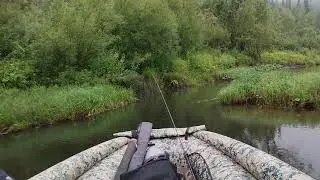 Утренний релакс. Solar sjt 430. Gladiator 40 jet.