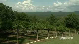 Uwharrie Mountains Wine Trail | NC Weekend | UNC-TV