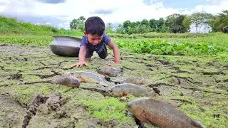 Wow A Lot Of Fish | Smart Little Boy Catching Fish By Hand In Pond Water