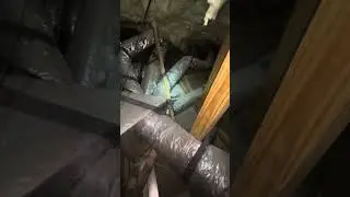 How to check your attic for Termites #Termites #WDO #TermiteInspection #Loxahatchee #Wellington