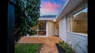 Professionals Real Estate, Pt Chevalier - Your Local Professionals