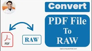 pdf to raw | convert pdf file to raw file online free