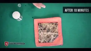 SDS Polished Stone Sealer