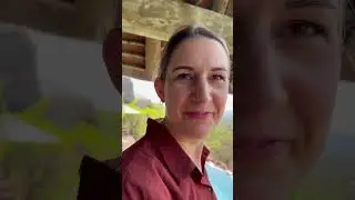 Peter das Schwein! (Safari HONEYmoon)