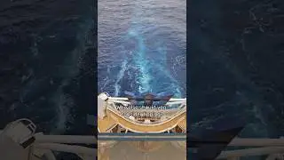 Cruise Ship Tips & Gratuities Guide