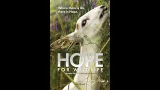 Nature Conservation: Hope For Wildlife
