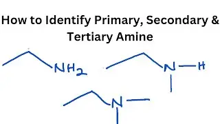 How to Identify Primary, Secondary and Tertiary Amine (Organic Chemistry)