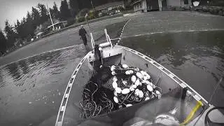 Beach Seining Coho- Tuesday September 26, 2017