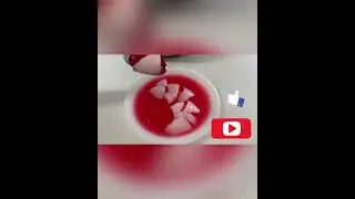 Mahalepi