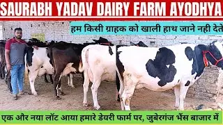 #Dairy Video,Saurabh Yadav Dairy Farm Juberganj pashu Mandi sohawal Ayodhya UP 