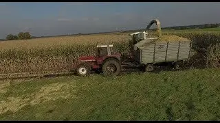 Maishäckseln im Moor 2017 |Claas Jaguar 860 |John Deere | IHC |Deutz |Eurotrans