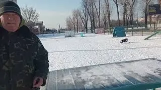 Выгул моих собачек 4.февраля 2026г Харьков