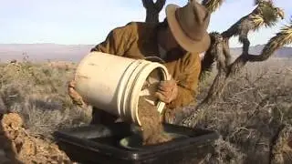 HOW TO IDENTIFY ROCKS TO FIND GOLD !!!