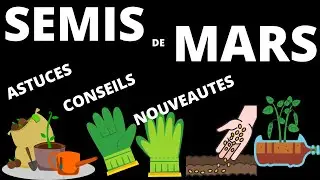 semis de mars (astuces , conseils et nouveaut&eacute;s )