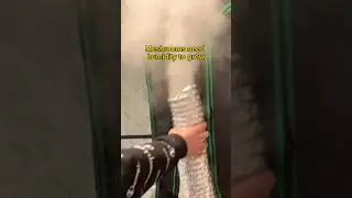 Как построить систему увлажнения для выращивания грибов #shorts #shortsfeed #growyourown #mushrooms