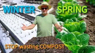 Don't Use Compost as a Mulch. Here's Why.