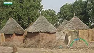 Vieux Diouf ''Fans Yi''