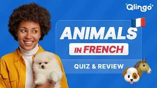 Learn 30 Animals in French 🦁🐶 Fun Picture Quiz + Pronunciation | Qlingo