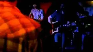 The Honey Month - The Owl (Live at MUM, the World Bar, Sydney )